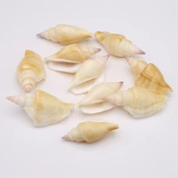 natural shell beads aeolian snail bead no hole charms for jewelry making necklace bracelet decoration