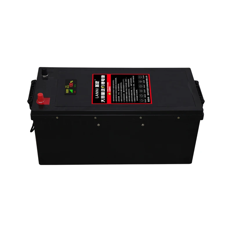 Рисунок 3 - Литий-ионный Аккумулятор LiFePO4