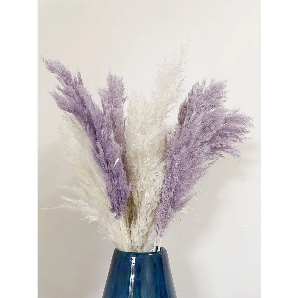 

Pampas Grass Natual Dried Flowers Boho Home Wedding Party Vase DIY Dining Table Christmas Thanksgiving New Year and Spring Decor