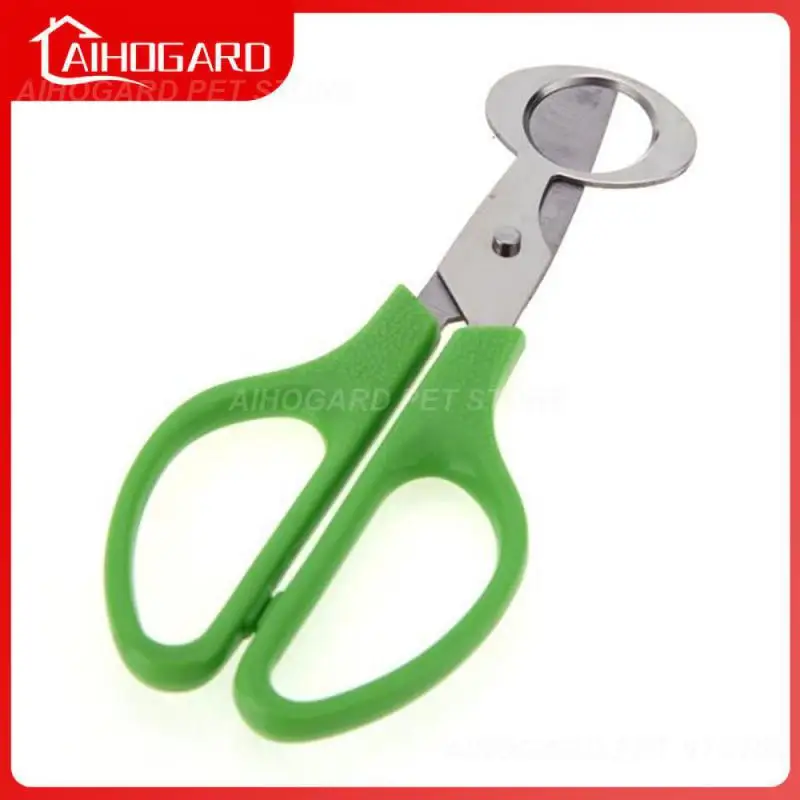 

Stainless Steel Blade Cutter Opener Bird Eggshell Separator Durable Egg Cutters Pigeon Quail Egg Scissor Hand Tools Scissors