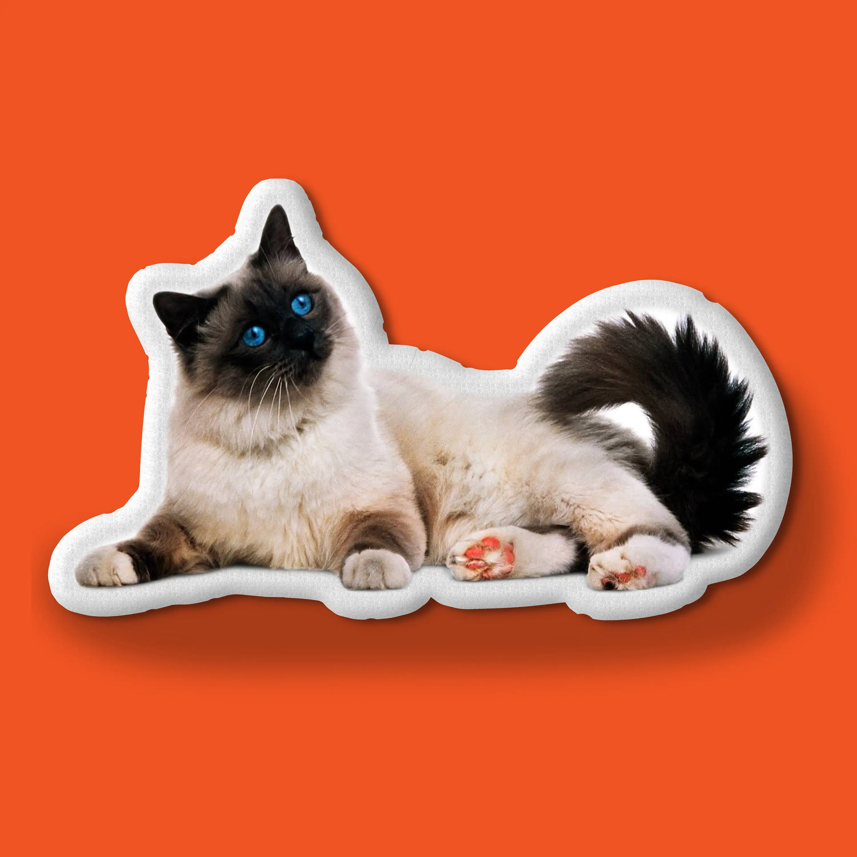 Cat Pillowcase, Pet Sympathy Gift, Pet Pillow, Cat Pillow, Custom Pet Pillow, Pet Pillow Custom