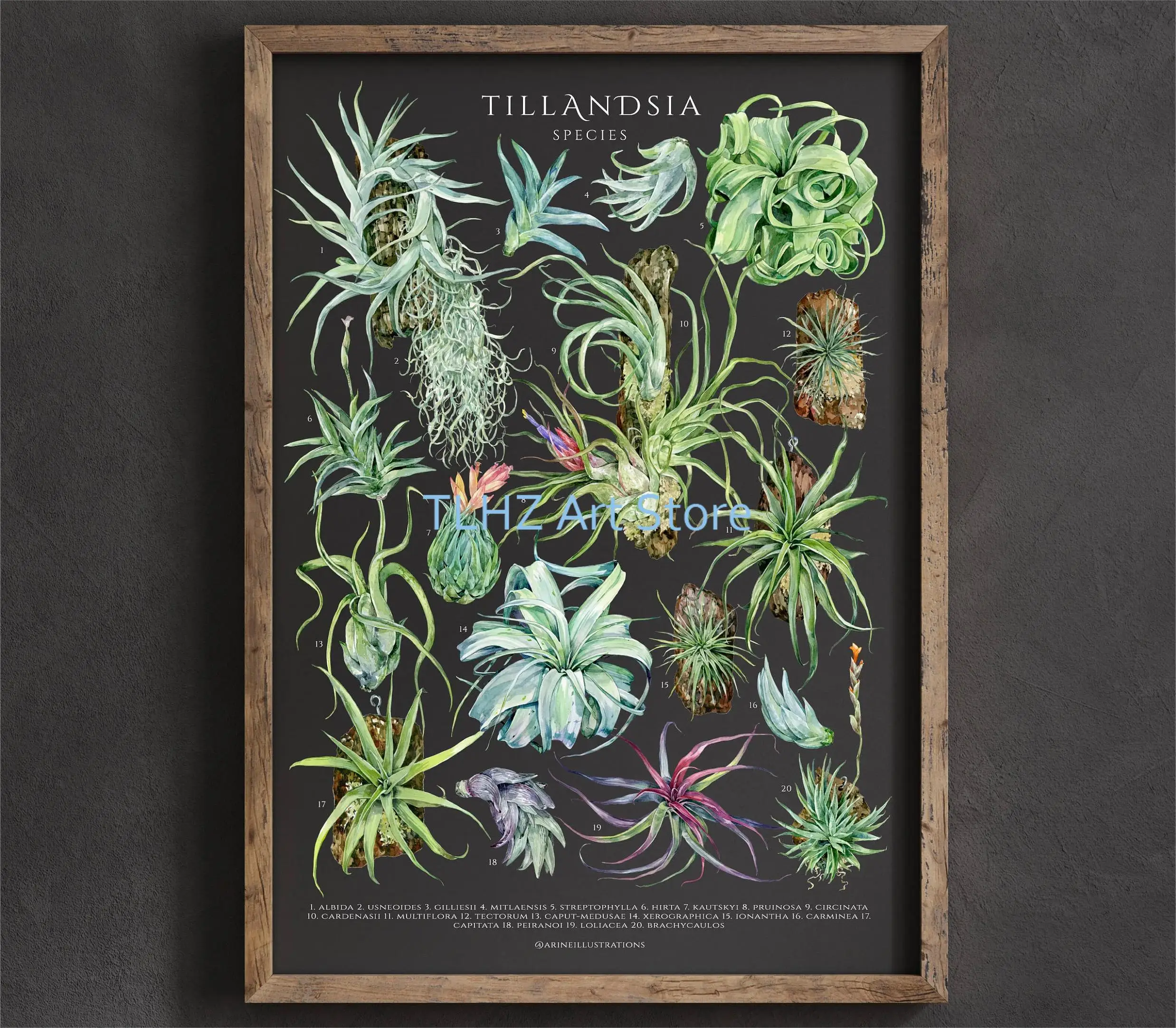 

Настенная картина акварельные ботанические растения