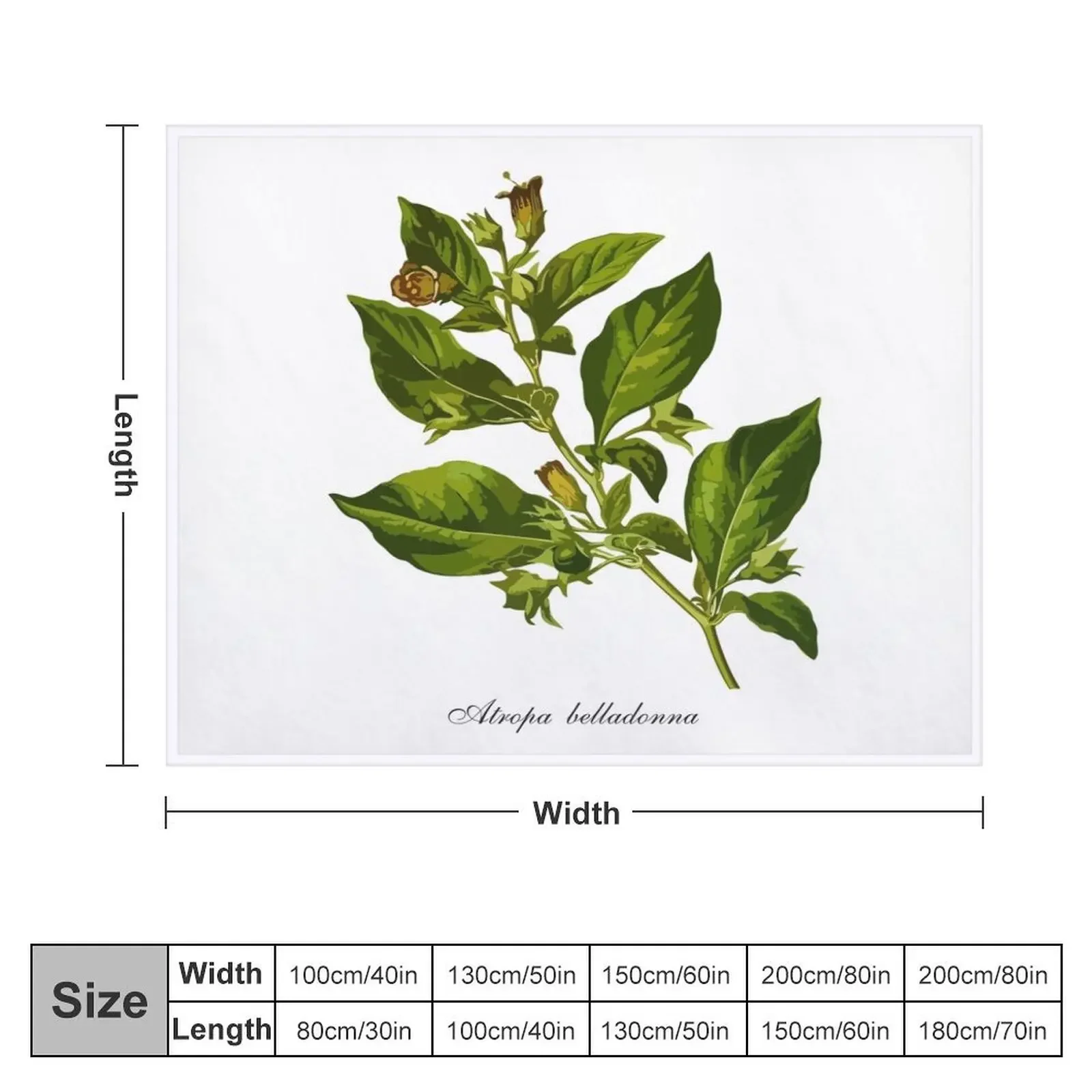 Черный смертельный ночной абажур (Атropa Белладонна) Плед теплое для зимы