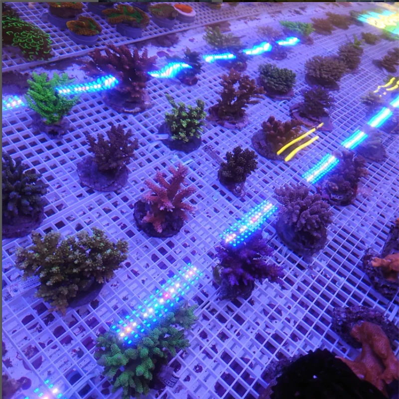 Хит продаж светодиодные светильники для аквариума Smart Reef регулируемая подставка