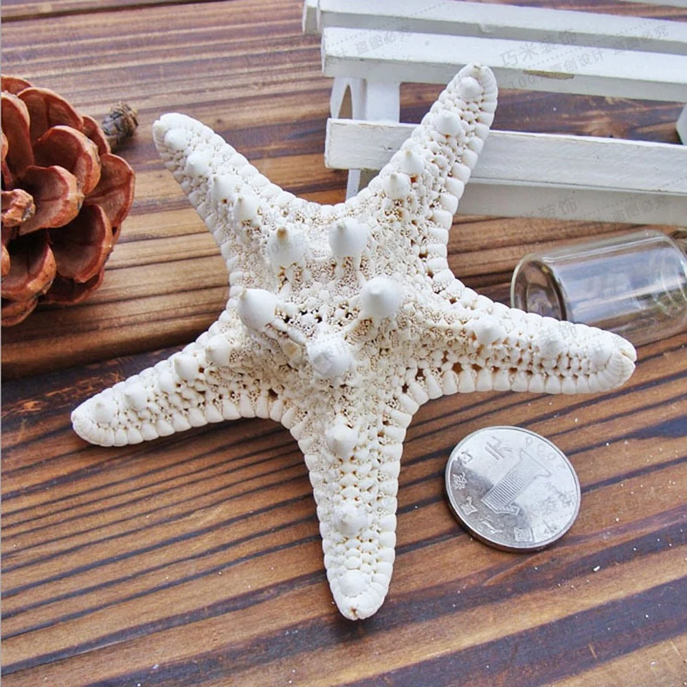 

1pcs Mini Starfish Craft Decoration Natural Mediterranean Sea Stars DIY Beach Cottage Kids Bedroom Living Room Decor