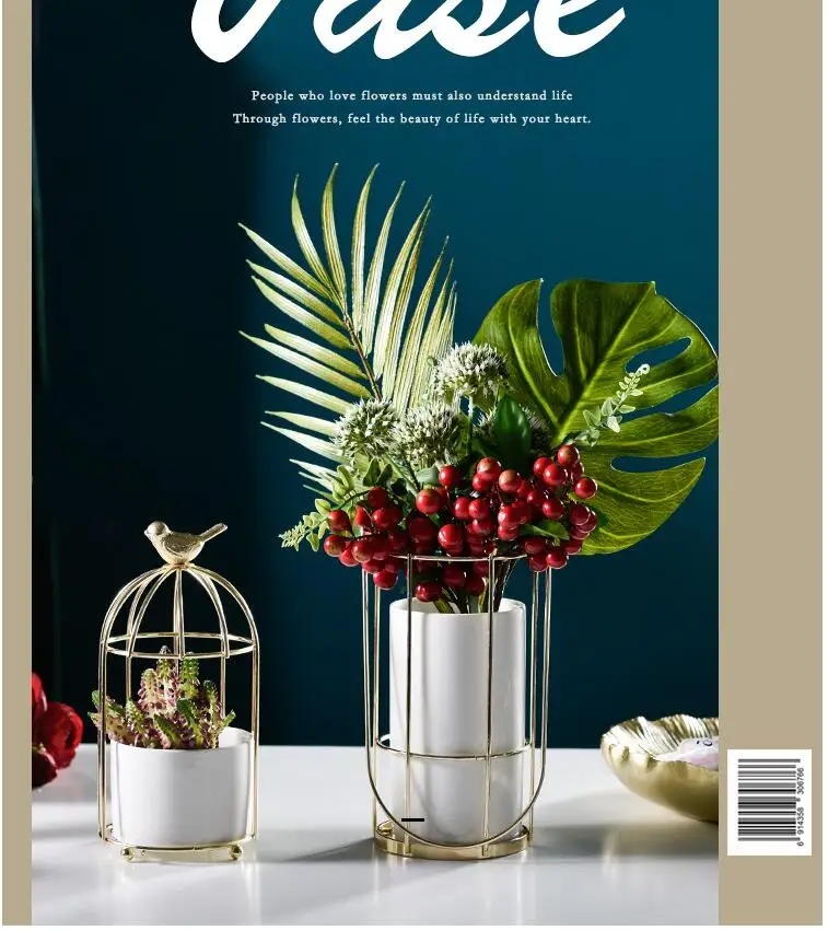 

European Wrought Iron Ceramic Flower Pot Bird Cage Iron Frame Vase Ornaments Home Livingroom Table Furnishing Decoration Crafts