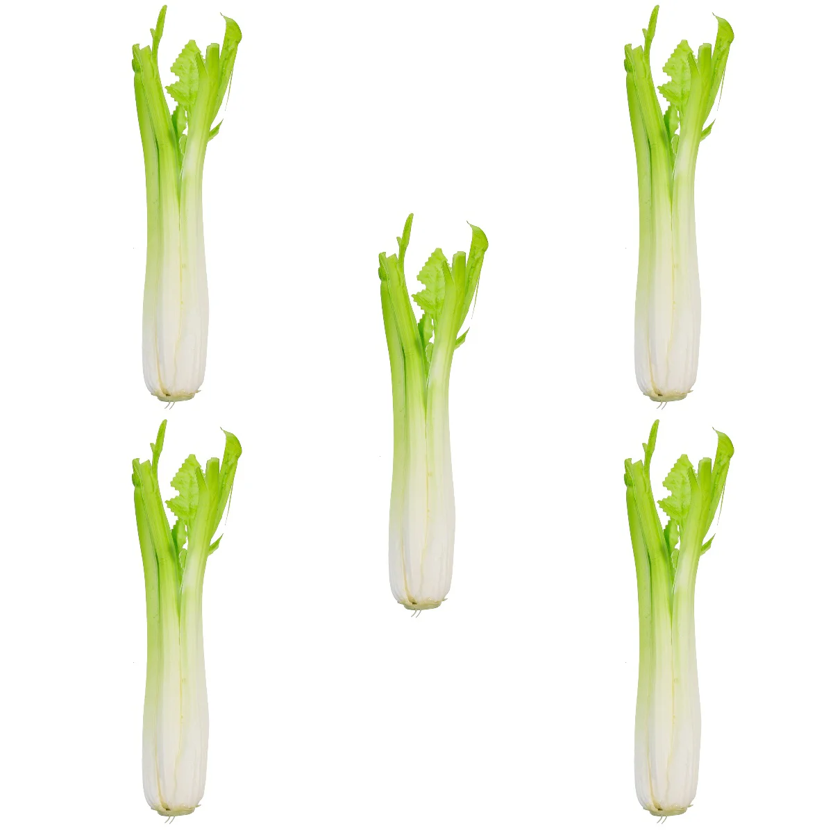 

Celerymodel Fake Vegetable Artificial Vegetables Decoration Simulation Decor Faux Lifelike Decorative Kitchen Party Home Props