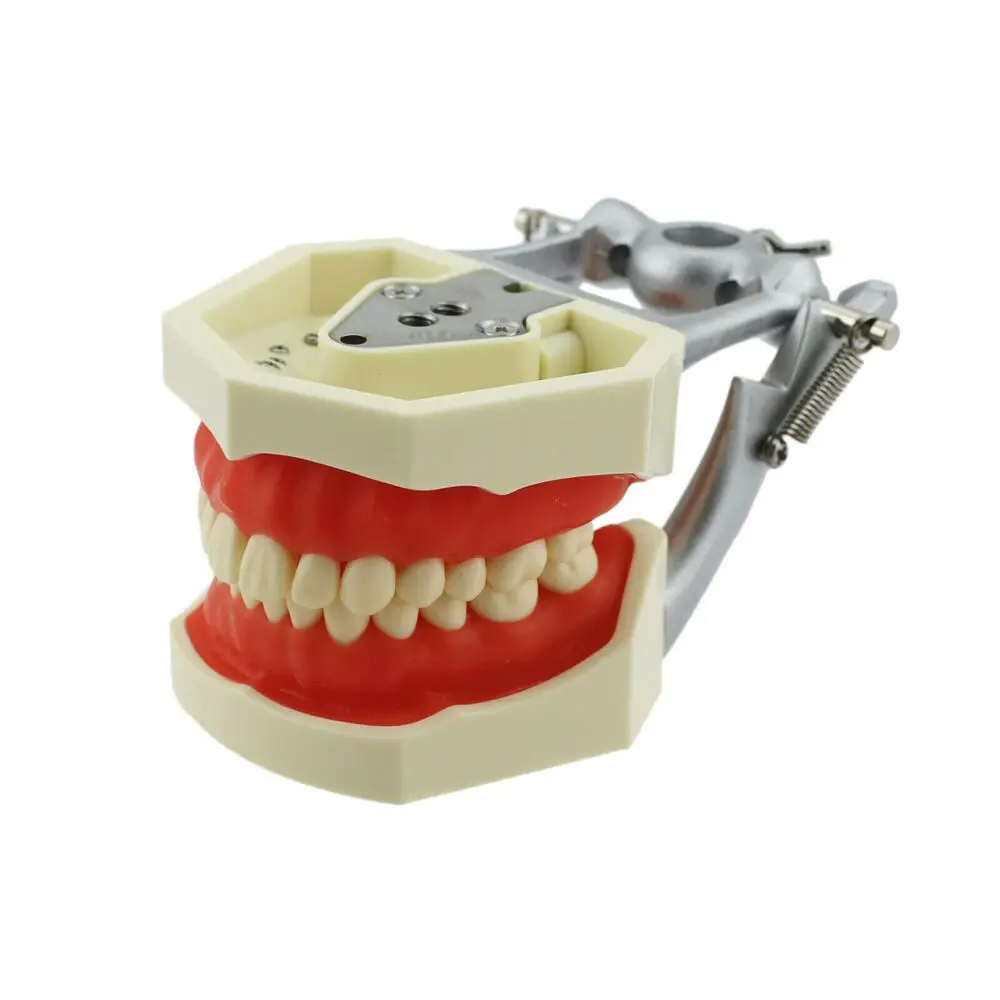 

Устанавливаемая Съемная монтируемая Опора kilгор NISSIN 500 Dental, модель с 28 зубьями