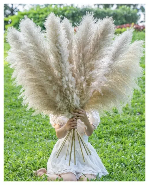 Декор из натуральной сушеной пампасной травы большие пушистые пампасы для