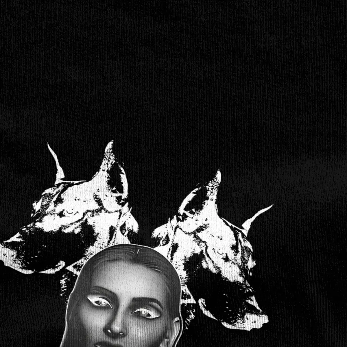 Футболка мужская с принтом Raiven Словения Vapor Veronika хлопковая рубашка круглым