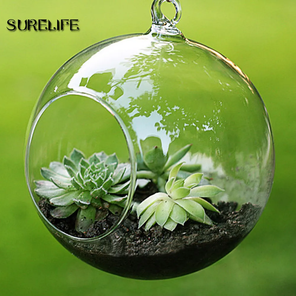 

12pc 6/8cm Transparent Ball Globe Shape Clear Hanging Glass Vase Flower Plants Terrarium Container Micro Landscape DIY Wedding