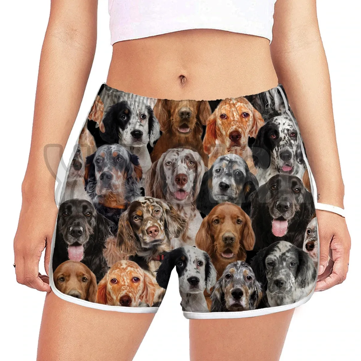 You get a lot of English setters   women's shorts 3D All Over Printed Shorts Quick Drying Beach Shorts Summer Beach Swim Trunks
