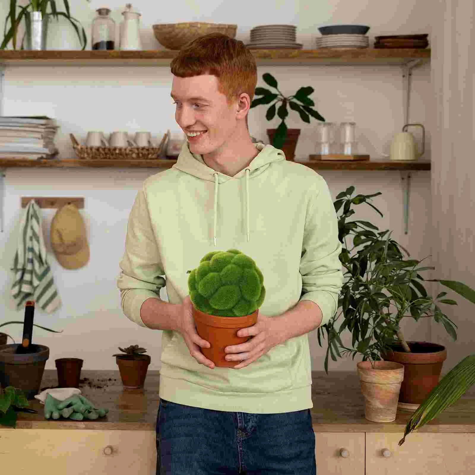 2 шт. имитация шарика из мха покрытые камнями консервированные шары