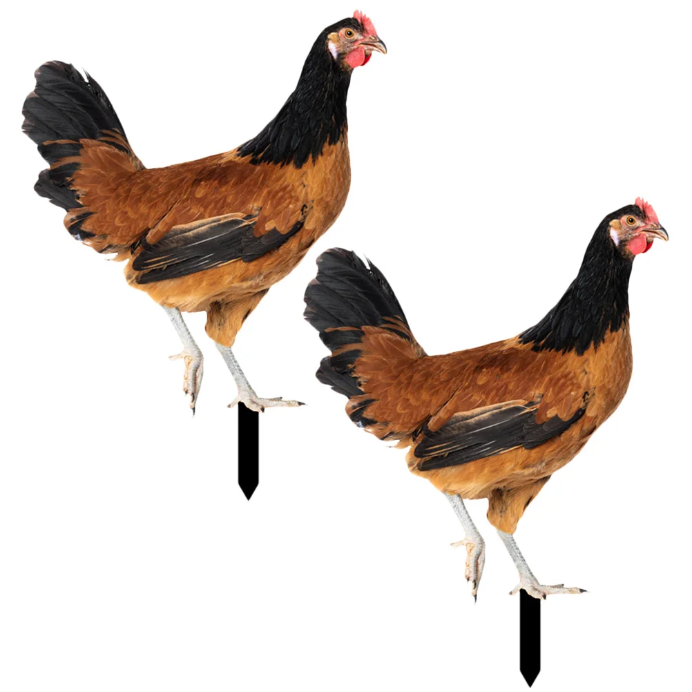 

2 Pcs Sign Garden Decorations Lawn Ornament Rooster Chicken Stakes Acrylic Hen Ornaments Yard