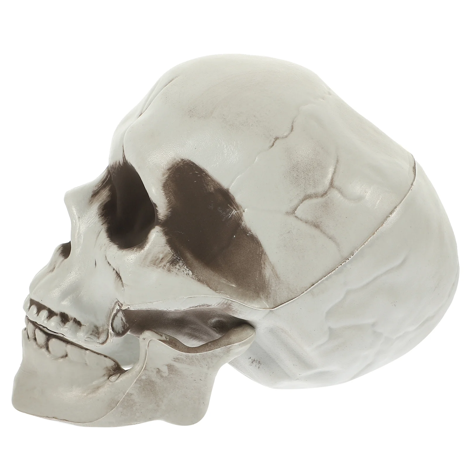 

Halloween Party Decoration Haunted House Prop Artificial Ornament Head Model