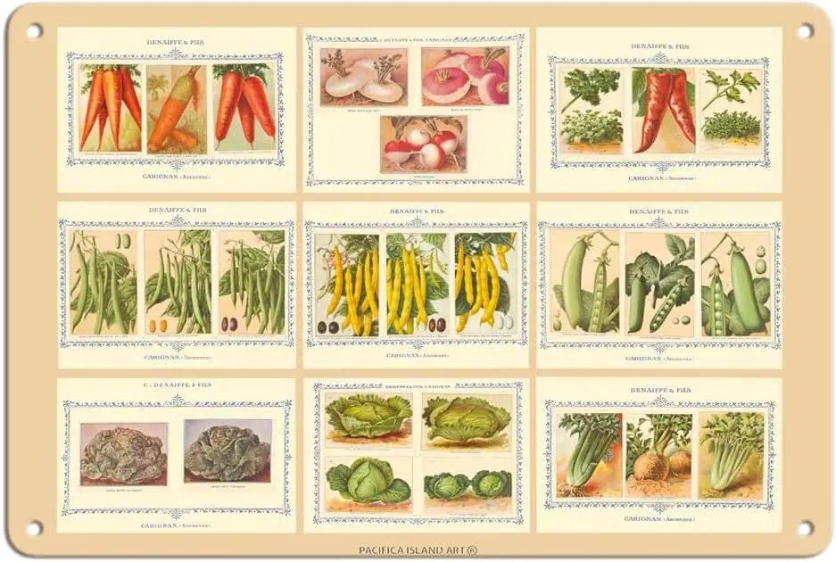 Pacifica Island Art French Seed Packet Collage - Denaiffe and Son Vintage c.1910s 8 x 12 дюймов Metal Tin