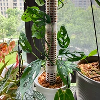 portable moss pole selected hollowed out moss pole unique extension pole for climbing plant indoor home garden accessories