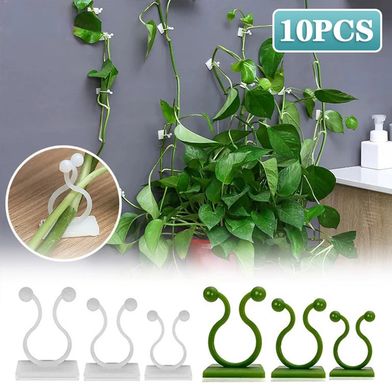 

Plant Climbing Wall Clips Vine Buckle Hook Rattan Clamp Fixator Self-Adhesive Plant Stent Invisible Vine Climbing Fixed Bracket