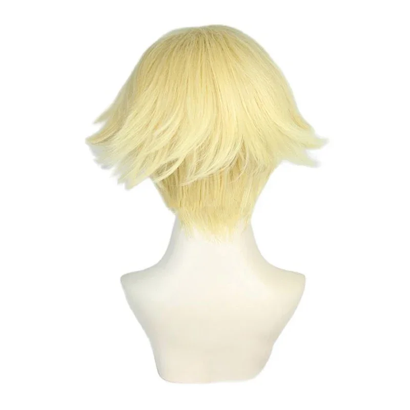 Парик для косплея аниме Seishu Inui термостойкий синтетический с блестящими