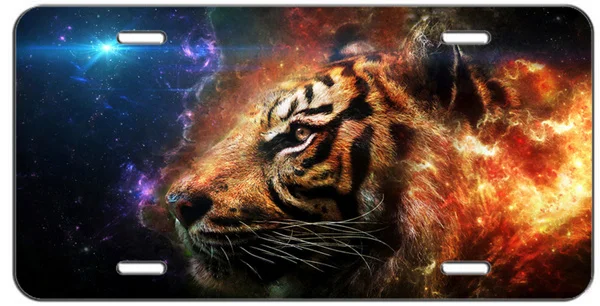 

Номерной знак GALAXY TIGER, автомобильная бирка, номерной знак, жестяные рамки, Обложка, винтовые крышки, знаки, Декор для дома и бара