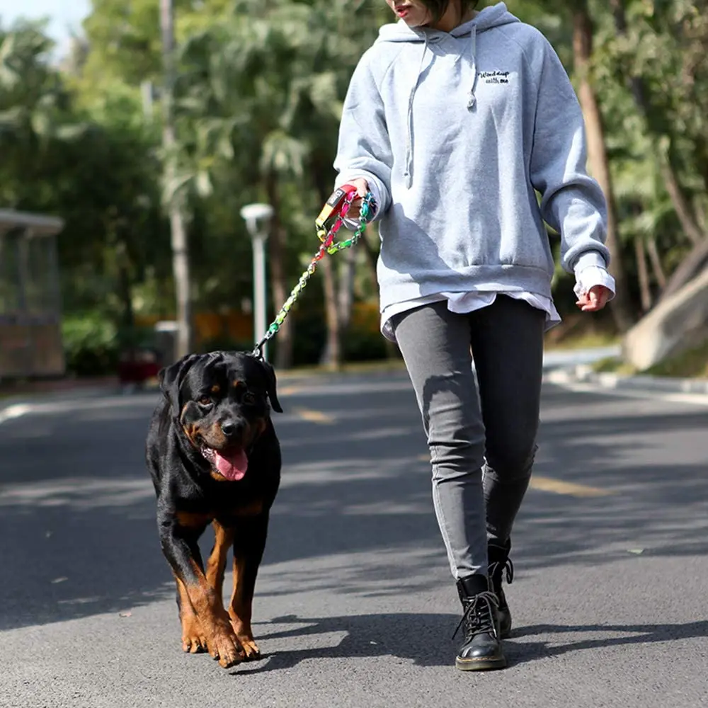 

Радужный ошейник TSPRO, колье для собаки, цепь-чокер для дрессировки средних собак
