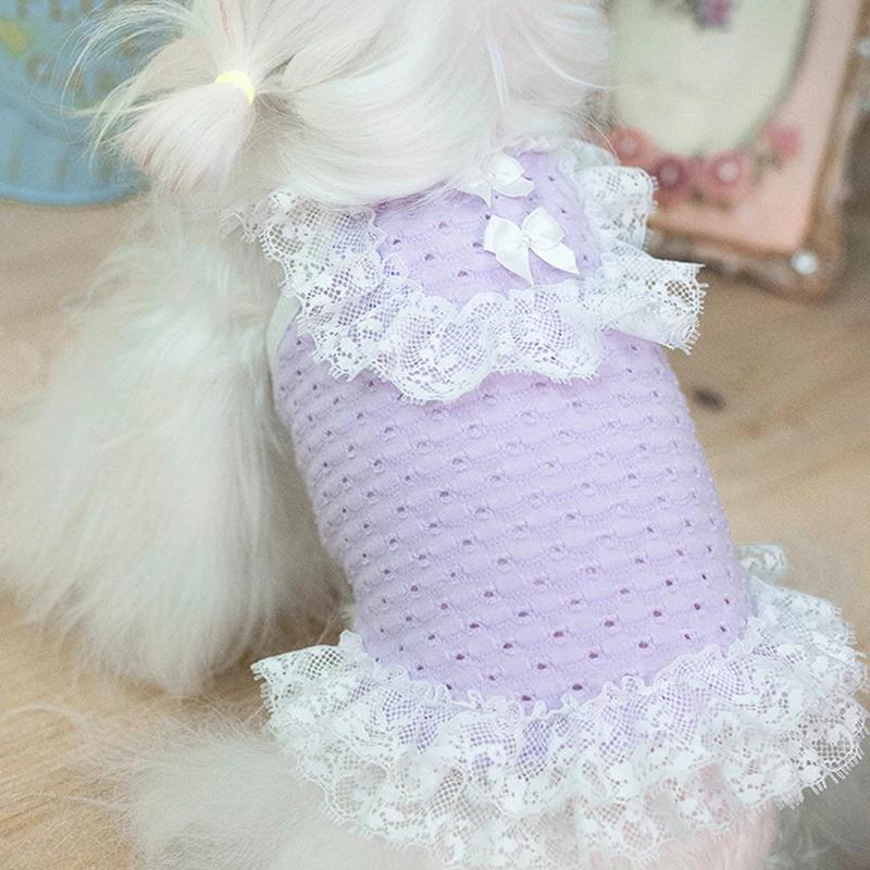 

XS Lace Dog Dress Summer Cat Clothes Chihuahua Yorkies Pomeranian Clothing Shih Tzu Maltese Poodle Bichon Pet Princess Skirt XXS