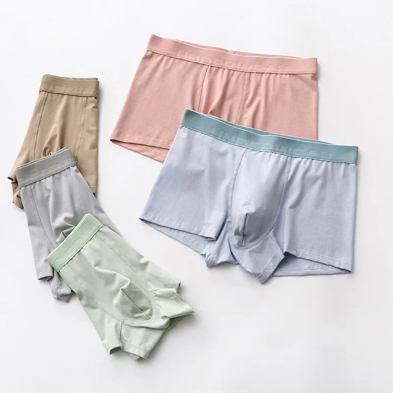 Men's underwear: pure color breathable leather horse cotton boxer shorts 3PCS