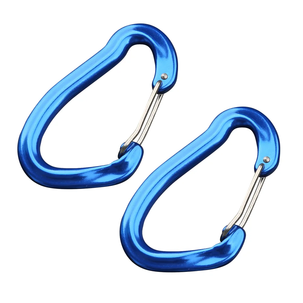 

2 Pcs Carabiner Clip Prime Sturdy Carabiner Clip Climbing Carabiner for Camping