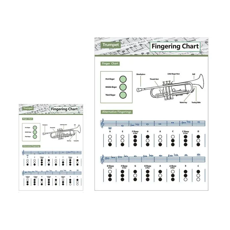 

Схема обучения трубе, схема для обучения трубе, схема для обучения трубе, схема плаката для пальцев, схема аккорда, нот, ссылка на музыкальный инструмент
