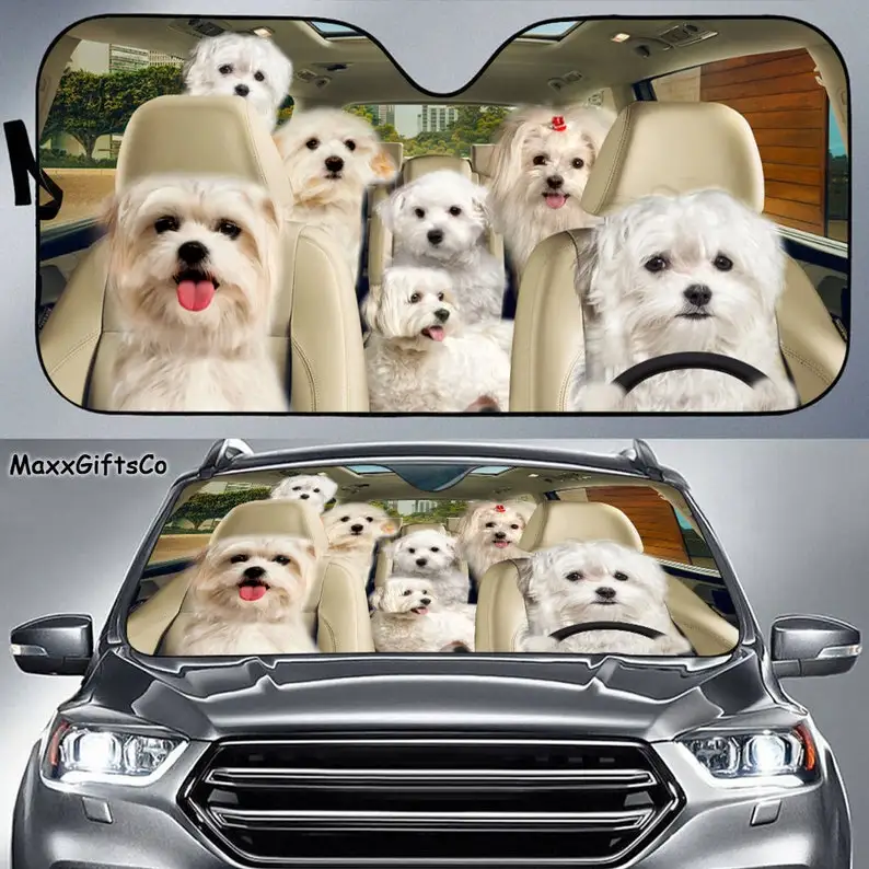 

Maltese Car Sun Shade, Maltese Windshield, Maltese Family Sunshade, Dog Car Accessories, Car Decoration, Gift For Dad, Maltese L