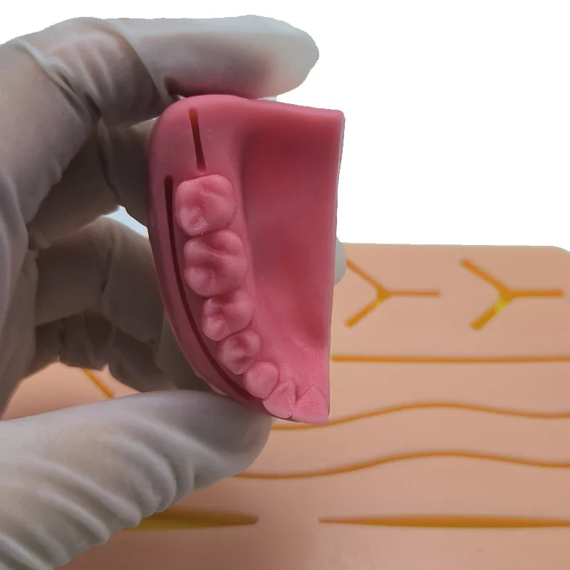 Силиконовая Модель Для Обучения Наложению Зубов Комплект Практики Наложения