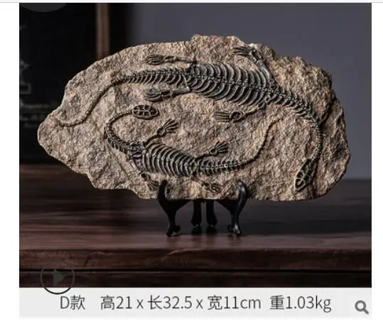 

American dinosaur fossil study home living room porch decorative arts and crafts window props decoration