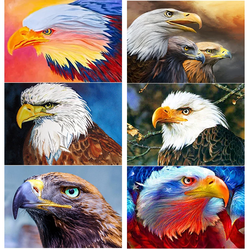 

Алмазная живопись 5D «сделай сам» с головой орла, алмазная вышивка крестиком, Ручная инкрустация, искусство, подарки стразы, Украшение стен д...