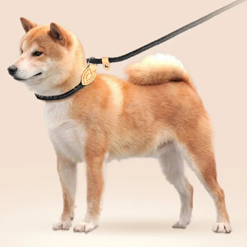 Поводок для домашних животных с P-цепочкой регулируемый нейлоновый поводок собак