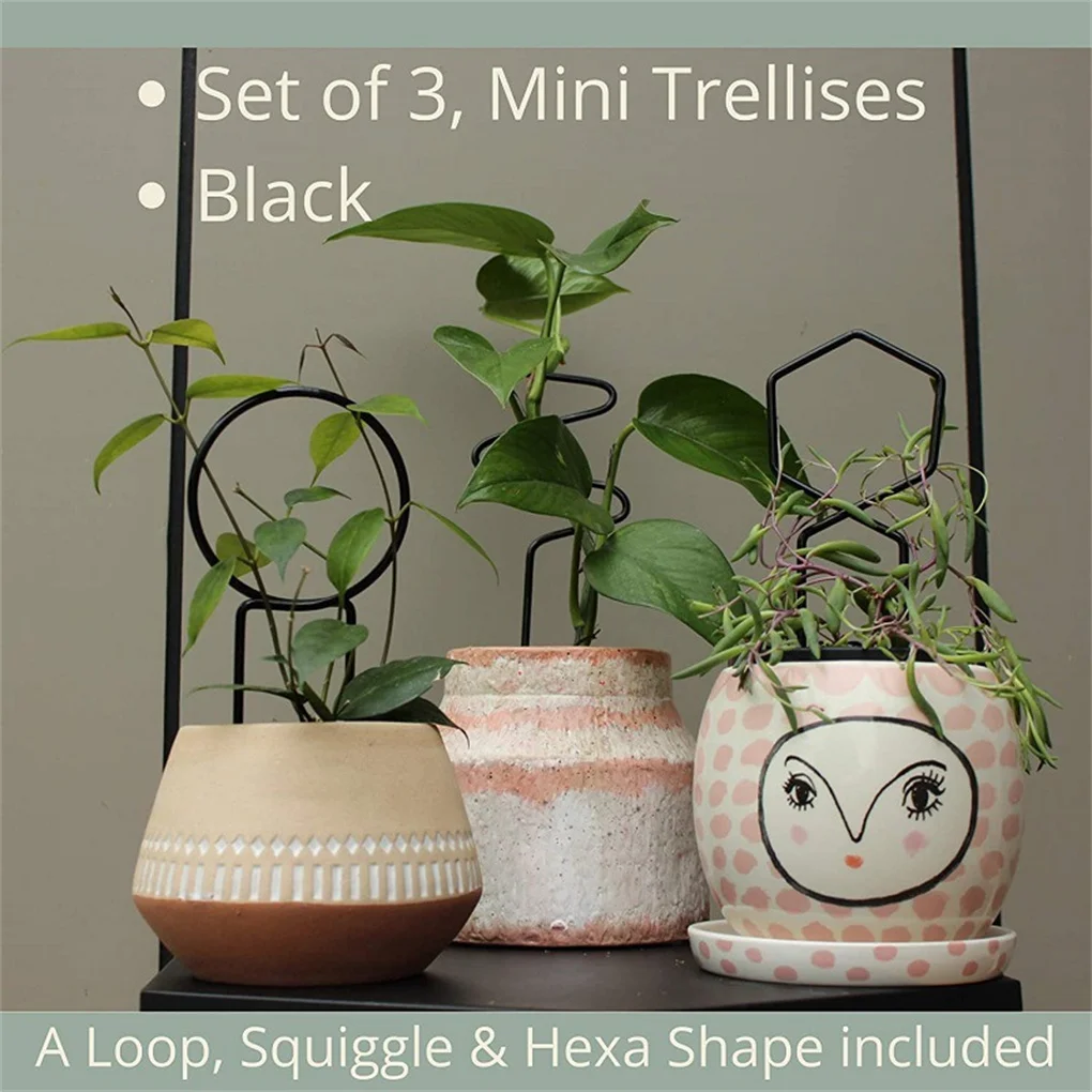 

3 Pieces Climbing Plant Trellis Fruit Support Stakes Sunflower Tomato Growing Holder Household Planting Accessories