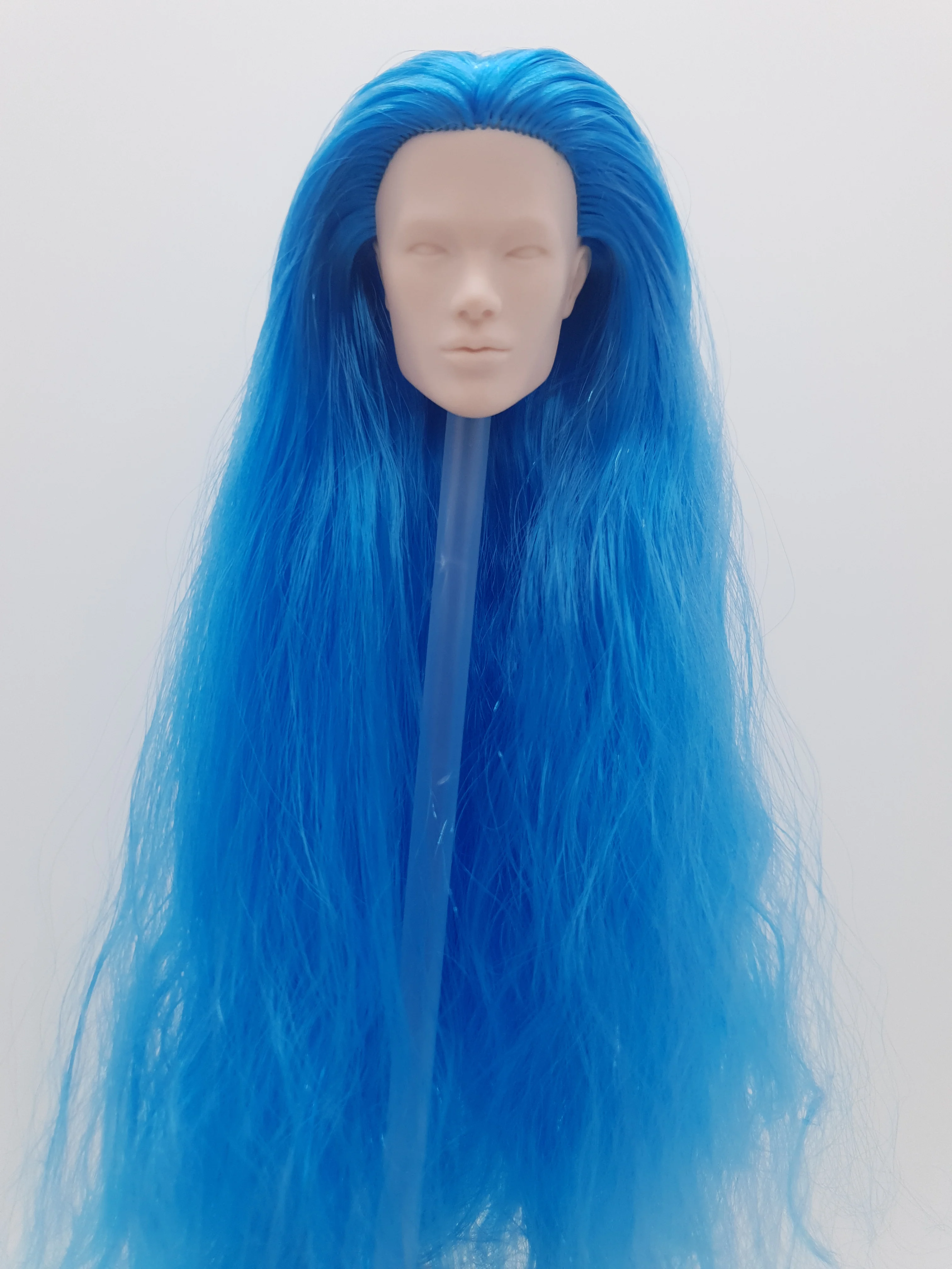 

Fashion Royalty Blue Hair Reroot Tenzin Dahkling Japan Skin 1/6 Scale Color Infusion Doll Head