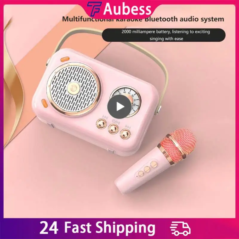 

For Adults Toys Gifts Outdoor Portable Small Mic Professional Microphone Speaker With Wireless Microphone Kids Mini