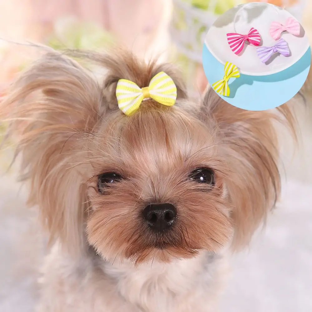 

Cat Puppy Pet Dog Sweet Bow Hairpins Butterfly Bows Hair Clips Hair Barrette