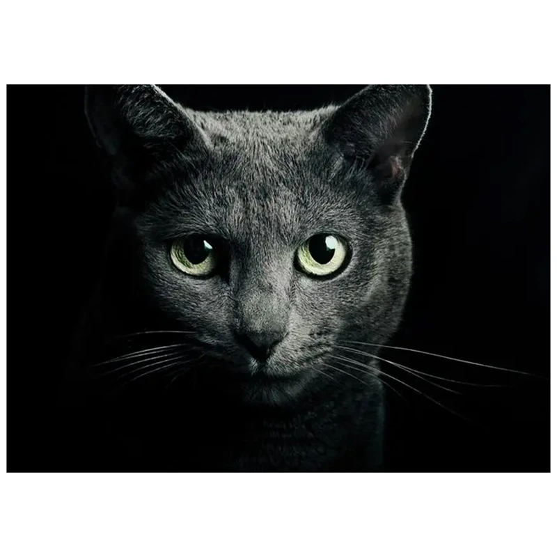 

DIY Diamond Embroidery Round Resin Diamond Cross Stitch Home Wall Decor (Black Cat) 30X40cm
