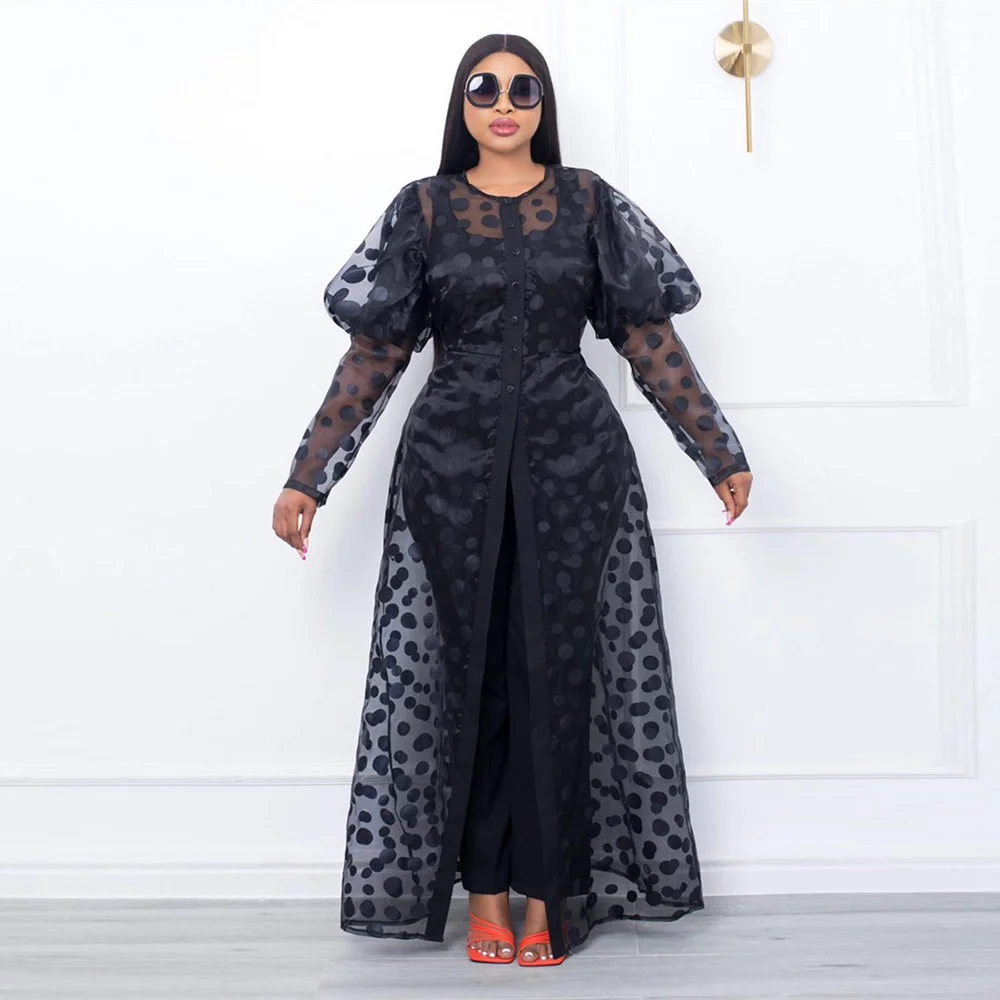 

2022 Fashion New Autumn And Winter Crewneck Puff Long Sleeve Sheer Dress Commuter Casual Wave Point Cinched Waist A-line Dress