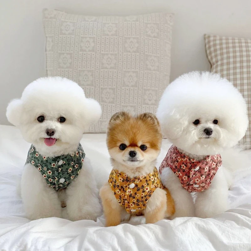 

Pet Floral Cotton Coat Autumn and Winter Clothes Teddy Coat Bichon Warm Clothes Puppy Short Two-legged Clothes Pet Products