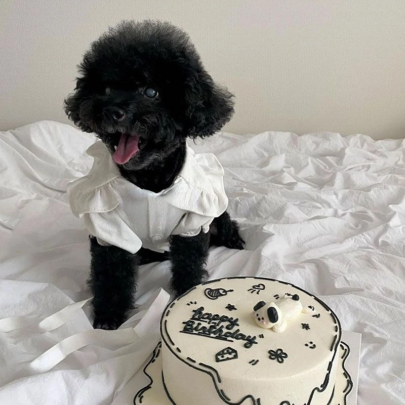 Рубашка в клетку платье на бретелях одежда для маленьких собак новинка