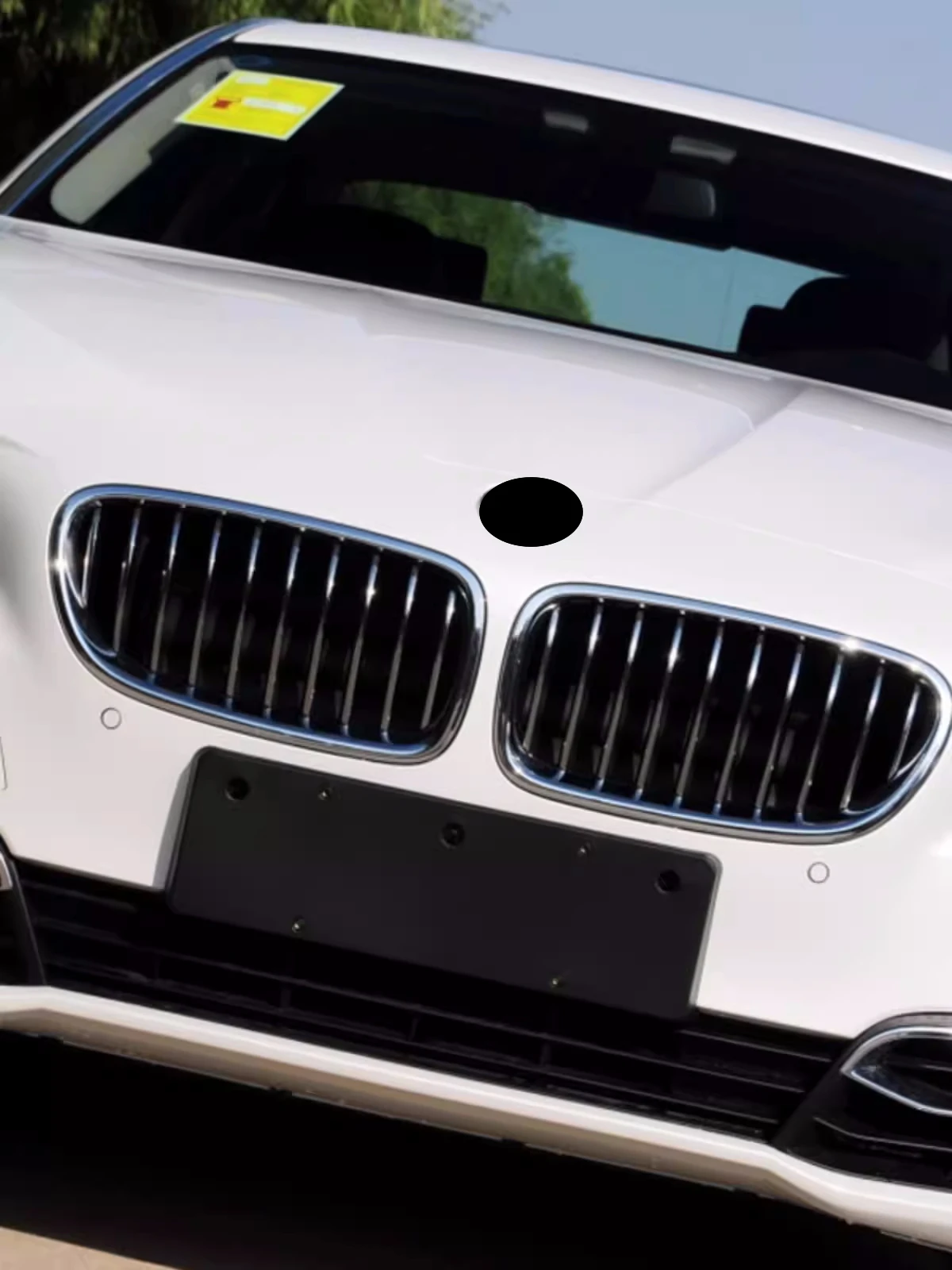 Решетка для переднего бампера автомобиля BMW 5 серии 525Li F18 F10 G30 G38 2011-20 маска сетка