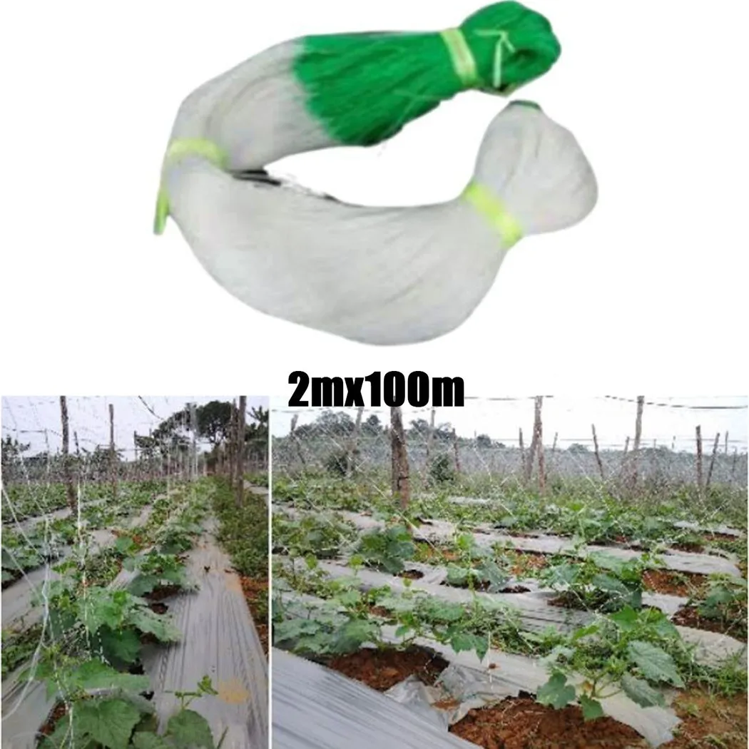 2X100M Melon Fruit Morning Glory Vine Net Flower Cucumber Trellis Netting Plant Nets Climbing Nylon Protection Net Best Stretch