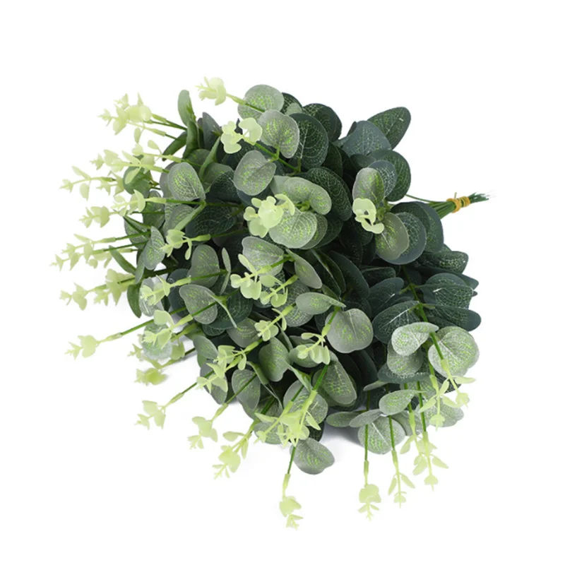 Office eucalyptus