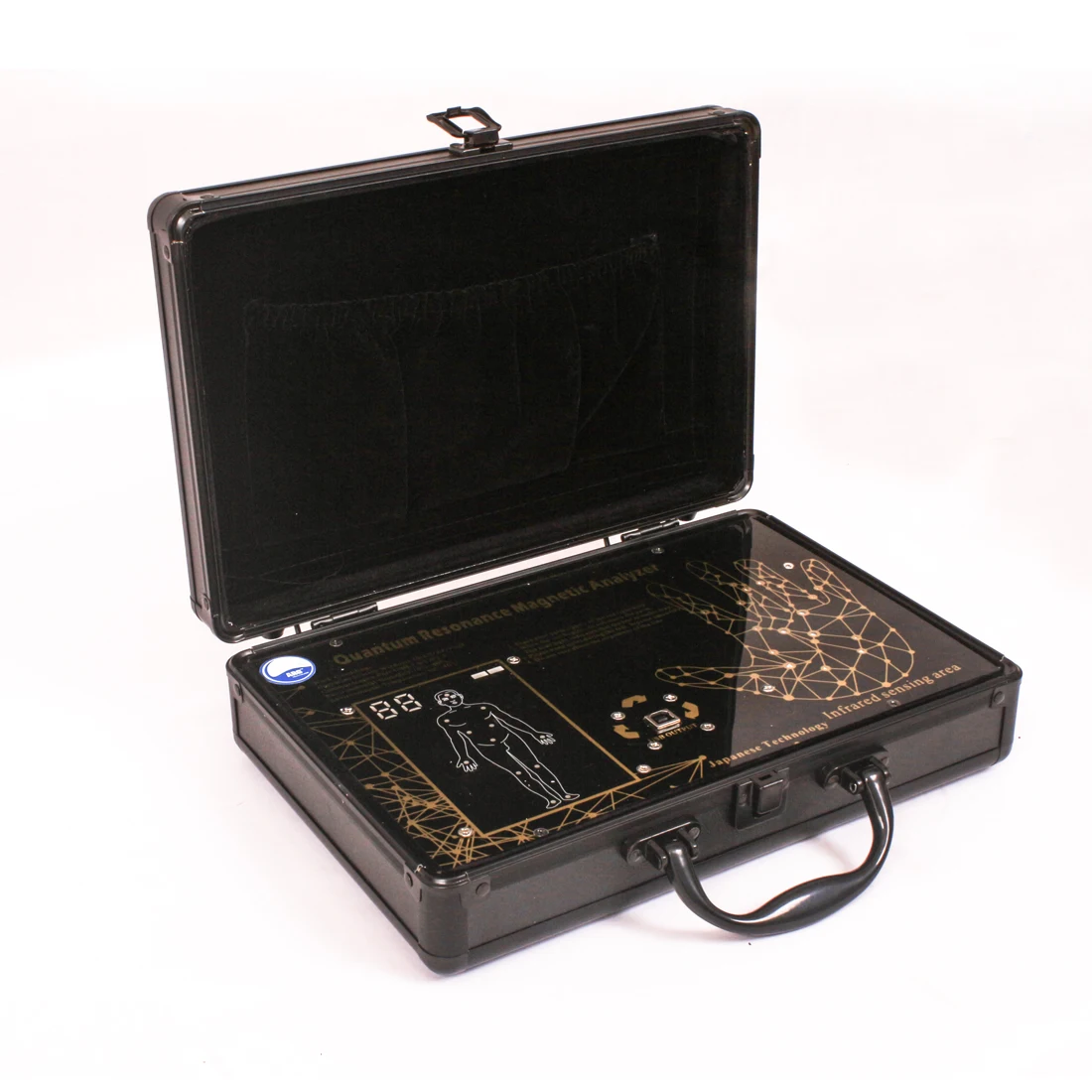 

ARG Quantum Resonance Magnetic Analyzer (Palm)