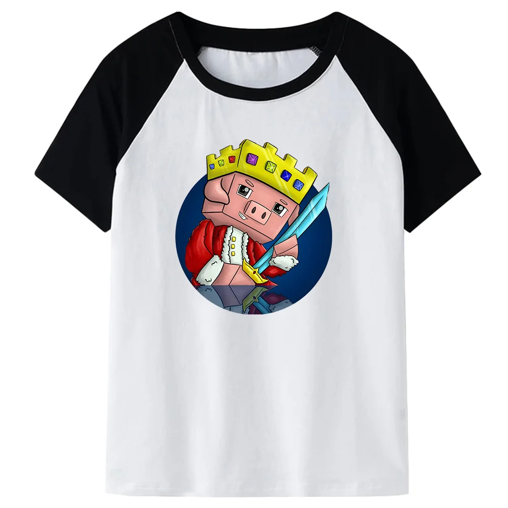 Video Game Dream SMP Tshirt Technoblade Never Dies Shirt Kids Unisex T-Shirt Girls Kawaii Tee-shirt 100%Cotton T Shirt Boys Tee