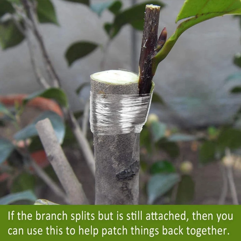 20 рулонов прививочной ленты для фруктовых растений деревьев детской