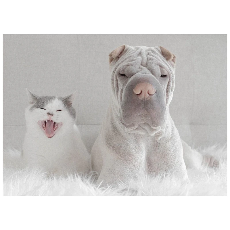 

Круглая Алмазная вышивка «сделай сам», 30 х40 см