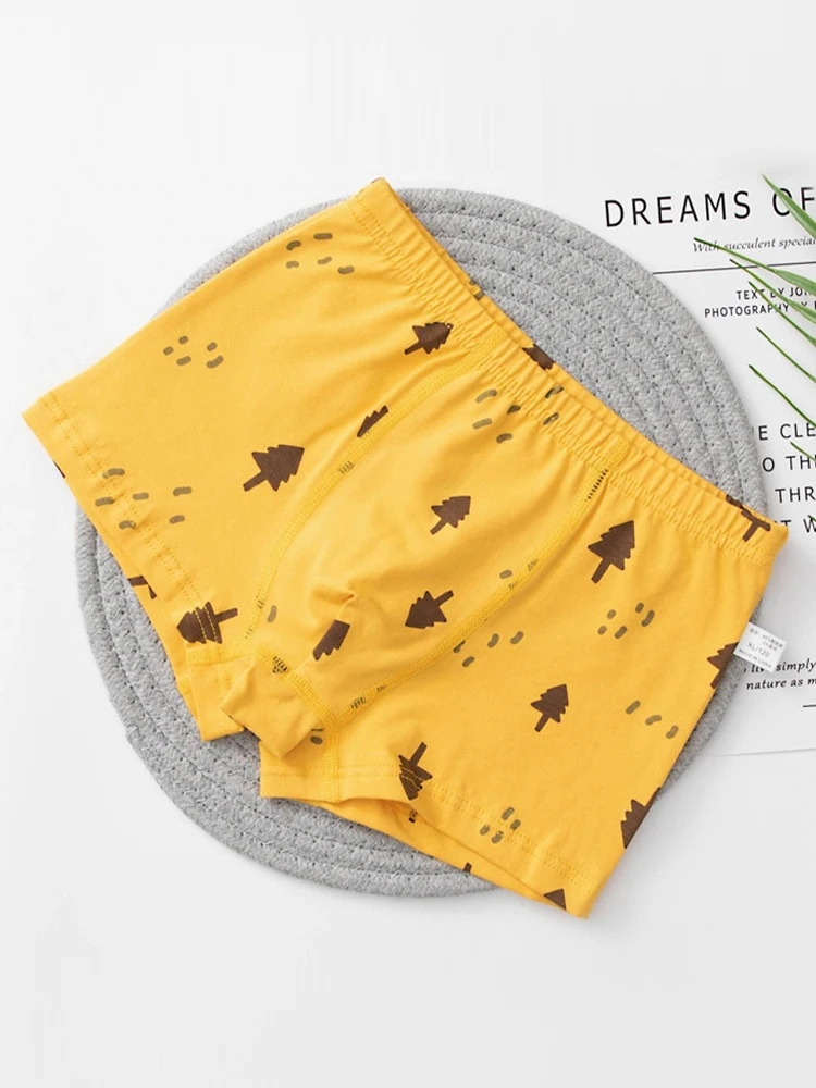 LJMOFA 5pcs Boy Boxer Set Cute Printed Kids Pants Cotton Breathable Flat Underwear B121